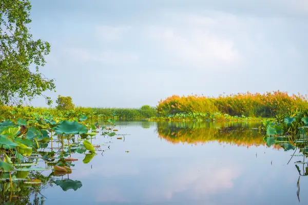 Durgun su taze nehre.