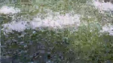 Yüksek Arding Su Fıskiyesi Parlak Mavi Yaz Gökyüzüne karşı Beyaz Bulutlar ve Yeşil Ağaç Yaprakları