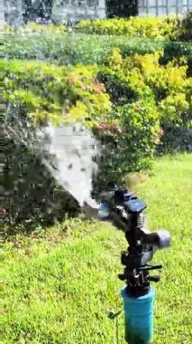 Güneşli bir günde yemyeşil çimenleri sulayan otomatik bahçe fıskiyeleri. Su damlacıkları ve sıçramalarla. Sulama ve su korumayı temsil ediyor..