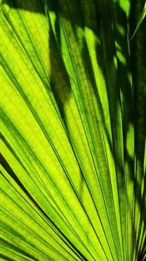 Halkın, İş, Doğa, Teknoloji, Doku, Tasarım, Çeşitlilik, Mimarlık ve Pazarlama, Sağlık ve Başarı Konseptlerinin yer aldığı en iyi yüksek kaliteli Stok Medya Görüntüleri ve 4K Video görüntüleri.