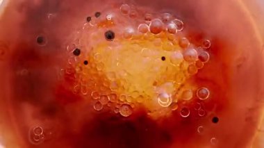 Koyu kırmızı ve turuncu tonlarda yoğun bir şekilde fokurdayan kalın, yapışkan sıvının yakın çekimi kaynayan kanın ya da erimiş organik maddenin etkisini yaratır. Kabarcıklı soyut makro sıvı hareketi