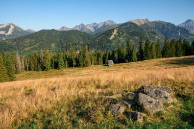 Tatra Dağları - Rusinowa Polana 'dan manzara