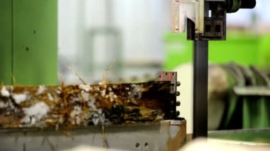 Elektrikli ahşap şarap varil üretimi için ahşap kardan bir parça kesme testere.