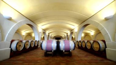 Odun fıçıları ve kemerleri ile bir şarap mahzeni uzun çekim. Bordeaux, Fransa.