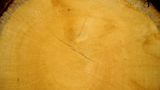 Zoom avant. Défocalisation de floue à forte .