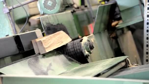 Gesplitste stukken hout worden gescheiden na snijden door elektrische houtzaag. — Stockvideo