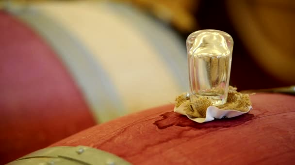 Close up of a plug on a wood barrel in a wine cellar. Bordeaux, France. — Stock Video