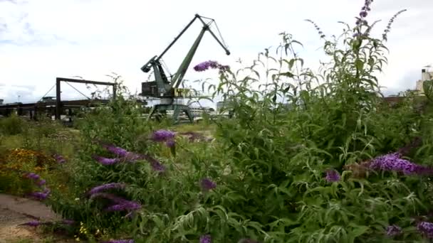 Crane on waste land port to lift heavy loads. Tracking shot right to left. Shrubbery with flowers in the front. Long shot. — Stock Video