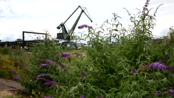 Grue sur le port de débarquement des déchets pour soulever de lourdes charges. Tracer le tir de droite à gauche. Arbuste avec des fleurs à l'avant. Long shot . — Video