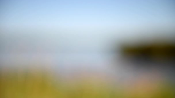 Lago en el sur de Francia. Desenfoque en las cuchillas. Largo plazo . — Vídeos de Stock