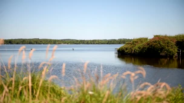 Lake in Zuid-Frankrijk. Volg focus van bank naar messen. Long shot. — Stockvideo