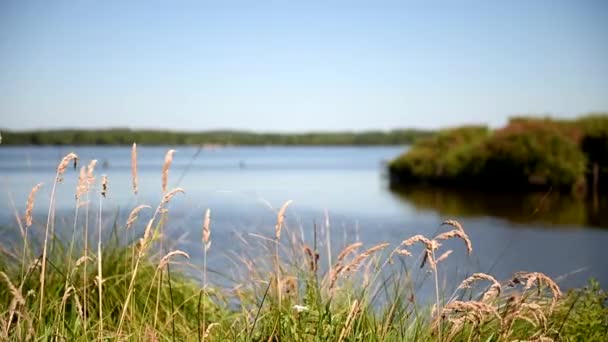 Lago en el sur de Francia. Sigue el enfoque de las cuchillas al banco. Largo plazo . — Vídeos de Stock