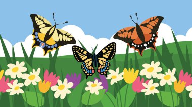 Renkli kelebekler ve çiçekler yaz çayır vektör çiziminde 