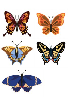 Beyaz arka planda izole edilmiş bir sürü güzel kelebek.