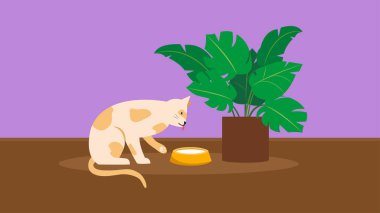 Sevimli kedi evde kaseden yiyor, vektör çizimi.