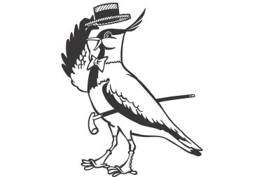 Vektör el çizimi, Amerika 'nın ortasında bir kuşun resmi.