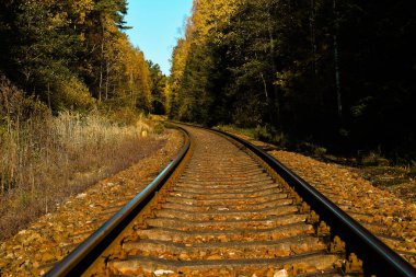 Tren raylarında sonbahar ormanı mesafesinde makro manzara.