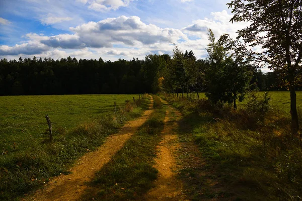 Camino de tierra apuntando en el bosque con el cielo de sol en el fondo — Foto de Stock