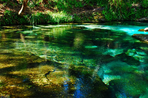 Hot Springs Florida Vicino Orlando Rock Springs Kelly Parco Statale — Foto Stock