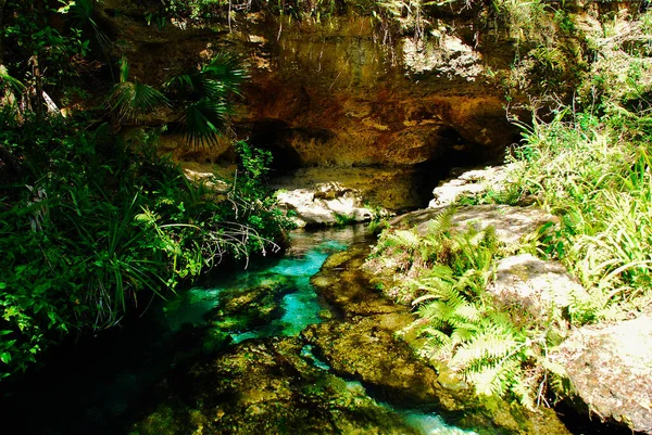 佛罗里达州凯利州立公园的岩石温泉是温泉 清澈的蓝水很适合潜水 — 图库照片