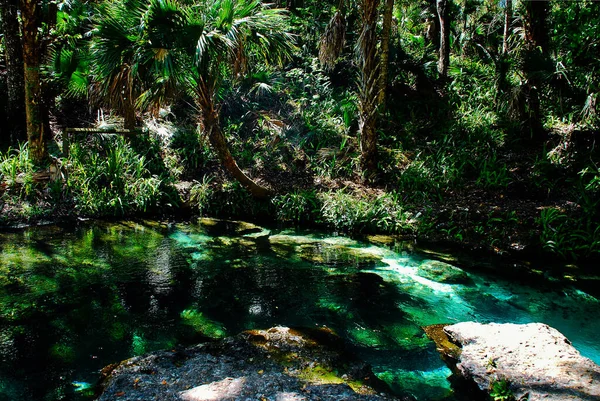 在凯利州立公园里的佛罗里达岩石温泉是一条完全清澈的淡水热水河 — 图库照片