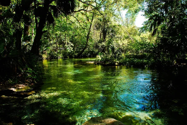 弗罗里达州的石泉河通向有许多温泉的低洼地凯莱州立公园 — 图库照片