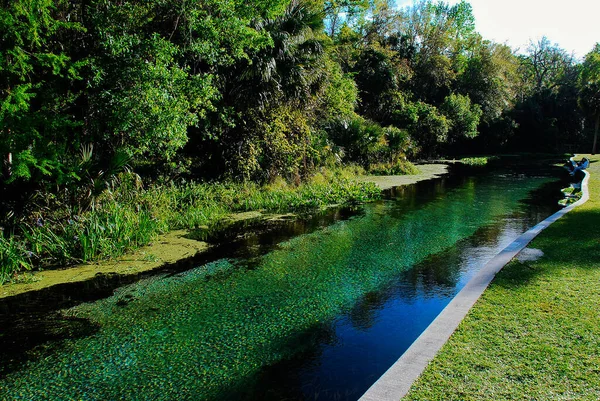 Rock Springs Florida Uszoda Kelly Állami Parkban Forró Tiszta Édesvízzel — Stock Fotó