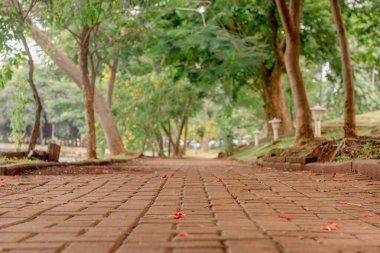 Şehir parkında yaya yolu.