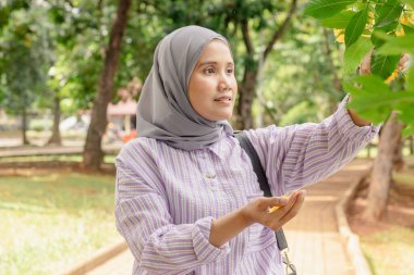 Genç Asyalı Müslüman bir kadın parktaki ağaçtan sarı çiçekler topluyor.