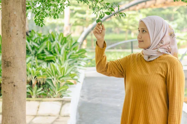 Endonezyalı genç bir müslüman kadın bir ağacın yapraklarını tutuyor. Doğanın güzelliğinin tadını çıkarıyor..