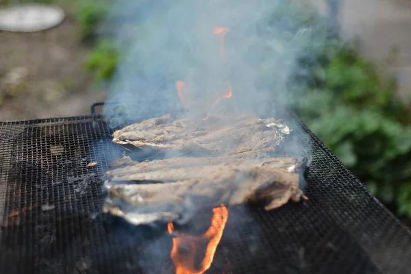 在炉火边的烤架上烤鱼 野餐烹调 自然烤炉中木柴生的火和热 — 图库照片