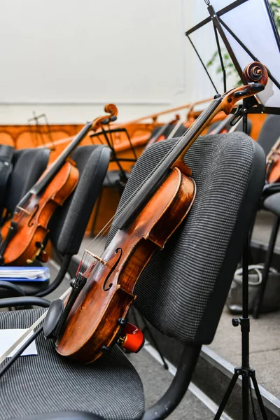 Violins stand on empty chairs of the concert hall before the start of the symphony concert.