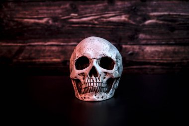 Siyah arka planda ahşap dokulu bir kafatası.