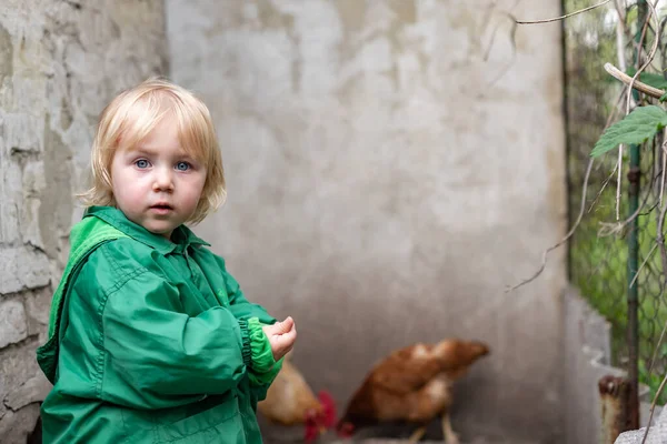 緑のジャケットの少女が鶏に穀物を与える鶏小屋で — ストック写真