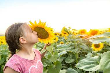 Akşamları tarlada ayçiçekli bir kız sarı bir çiçeği kokluyor..