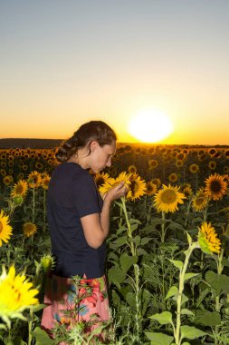 Akşamları tarlada ayçiçekli bir kız sarı bir çiçeği kokluyor..