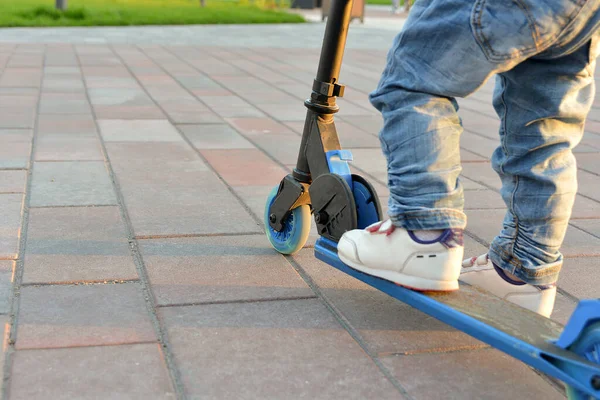 Petit Enfant Fait Scooter Dans Parc — Photo