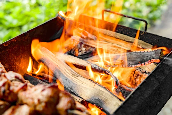 烤肉烤架上烧木柴 — 图库照片
