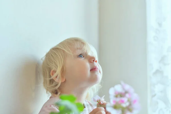 Dziecko Trzyma Rękach Ozdobne Kwiaty Patrzy Górę Portret Dziewczynki Kwiatami — Zdjęcie stockowe