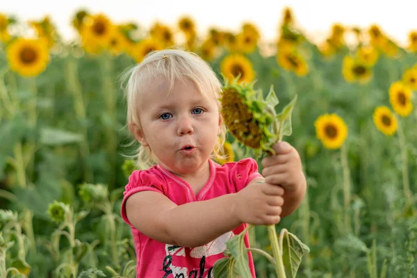Ein Kleines Mädchen Hält Eine Kleine Sonnenblume Stiel Inmitten Eines — Stockfoto