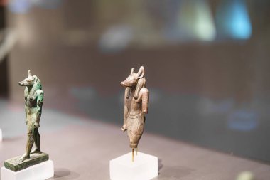 Bir müzede, karmaşık ayrıntılar içeren iki adet köpek başlı tanrı heykeli sergileniyor. Rakamlar net temellere dayanıyor ve bunların tarihsel önemini vurguluyor..