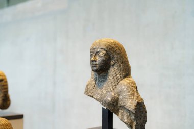 Antik Mısırlı bir kadının karmaşık bir şekilde oyulmuş taş büstü çağdaş bir müzede sergilenmektedir. Pürüzsüz detaylar ve benzersiz saç stili minimalist arkaplana karşı duruyor.