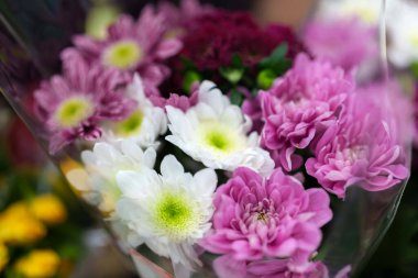 Yakın plan, beyaz, kestane rengi ve mor da dahil olmak üzere çeşitli renklerde anneler yakalar. Çiçek yaprakları doğal bir güzellik ekler. Plastik ambalaja sarılmış, hediye edilmeye hazır..