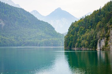 Alpsee Gölü 'nün sakin, turkuaz sularıyla buluşmak için ormanlarla kaplı yeşil dağlar. Sessiz bir günde, uzak tepeler yumuşak, puslu bir sisle örtülüdür..