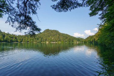 Sakin bir gölün berrak suları yemyeşil tepeleri ve mavi gökyüzünü yansıtır güneşli bir yaz gününde huzurlu bir atmosfer yaratır. Rahatlama ve doğa keşfi için mükemmel..