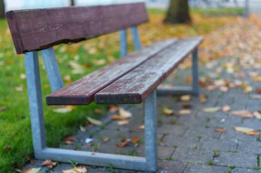 Parkta yıpranmış ahşap bir bank oturuyor, renkli sonbahar yapraklarıyla çevrili. Huzurlu bir öğleden sonra, doğanın güzelliğinden zevk almak için mükemmel..