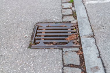 Çatlak bir beton sokakta paslı bir kanalizasyon ızgarası duruyor. Etrafında dağınık yapraklar ve çimenler görülebiliyor. Gündüz vakti kentsel bir ortamda doğanın bir işaretini veriyorlar..
