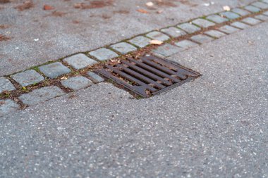 Asfalt ve kaldırım taşlarından yapılmış bir kaldırımda kanalizasyon açıklığını metal bir ızgara kaplıyor. Dökülen yapraklar ızgaranın etrafını sarmış. Sonbaharı gösteriyor. Ortalık sakin ve kentsel..