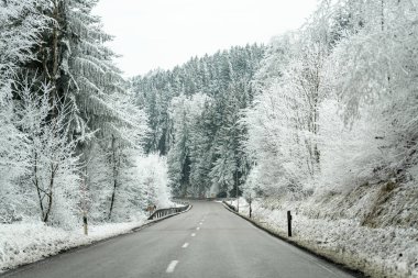 Karla kaplı bir ormanda yol esiyor. Ağaçlar beyaz don ve karla kaplıdır. Gökyüzü bulutlu ve sahne soğuk görünüyor. Yol açık ve boş..