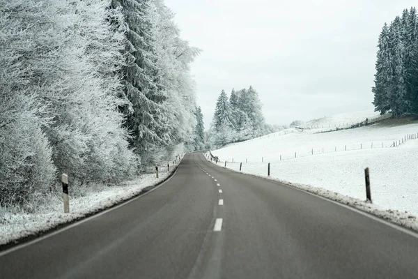 Karla kaplı kırsal bir arazide bir yol yavaşça kıvrılır. Buzlu ağaçlar yolun kenarına dizilmiş. Sahne, kış havasını ve bulutlu gökyüzünü gösteriyor..